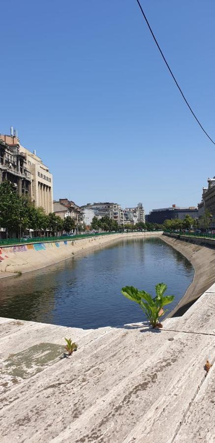 Mary Central Appartaments Bucarest Esterno foto